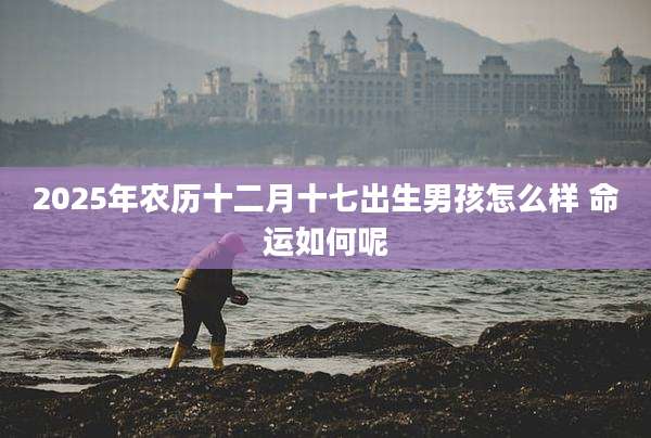 2025年农历十二月十七出生男孩怎么样 命运如何呢