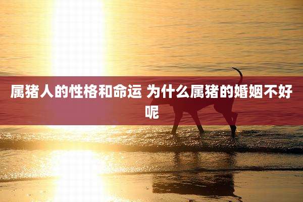 属猪人的性格和命运 为什么属猪的婚姻不好呢