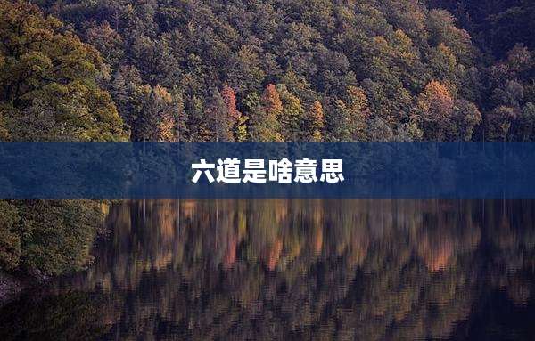 六道是啥意思