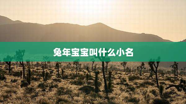 兔年宝宝叫什么小名