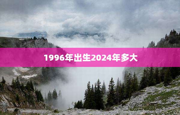 1996年出生2024年多大