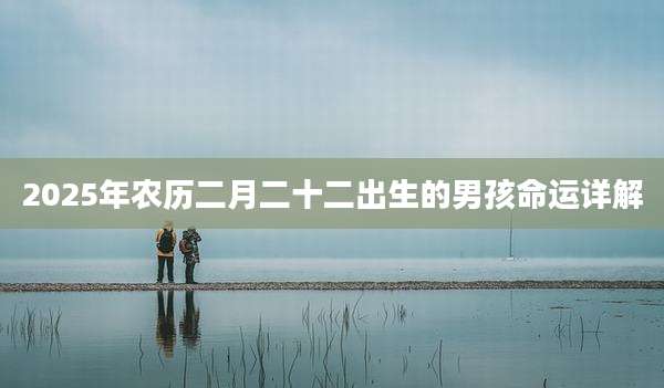 2025年农历二月二十二出生的男孩命运详解