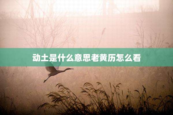 动土是什么意思老黄历怎么看