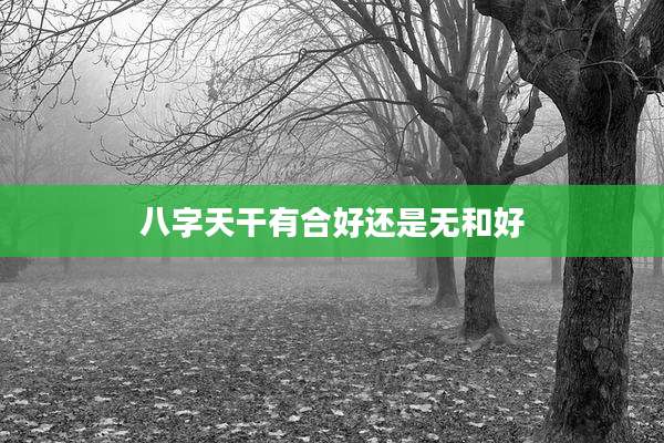 八字天干有合好还是无和好