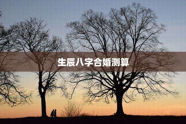 生辰八字合婚测算