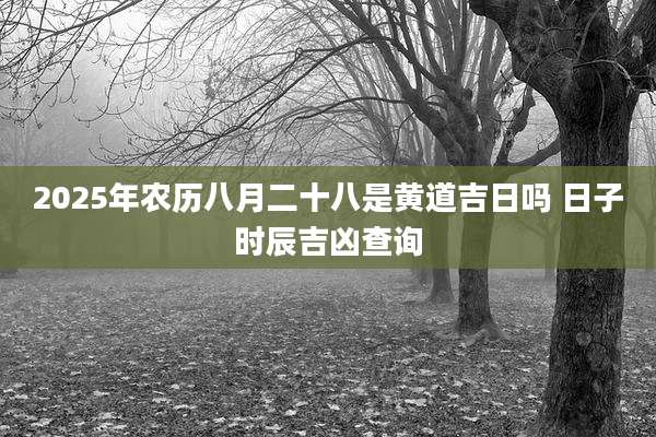 2025年农历八月二十八是黄道吉日吗 日子时辰吉凶查询