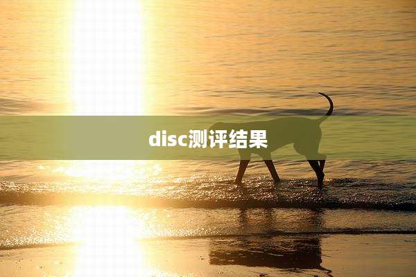 disc测评结果