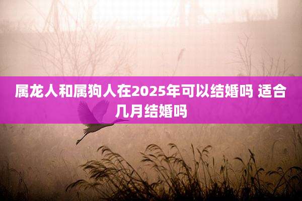 属龙人和属狗人在2025年可以结婚吗 适合几月结婚吗
