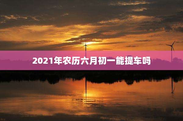 2021年农历六月初一能提车吗