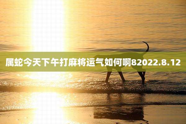 属蛇今天下午打麻将运气如何啊82022.8.12