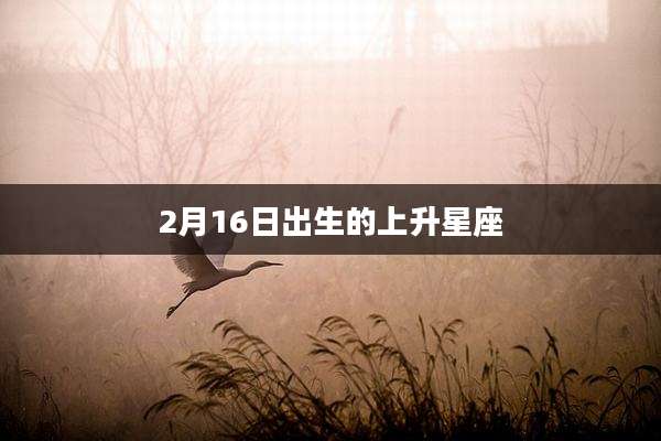 2月16日出生的上升星座