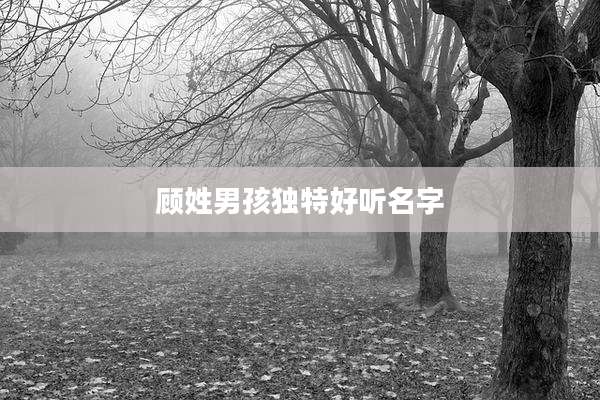 顾姓男孩独特好听名字