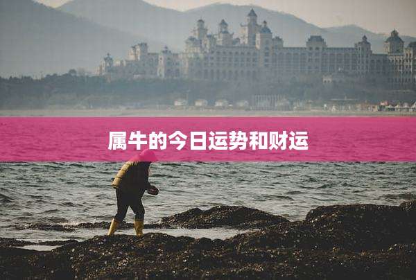 属牛的今日运势和财运