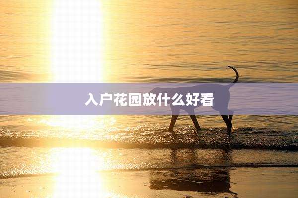 入户花园放什么好看