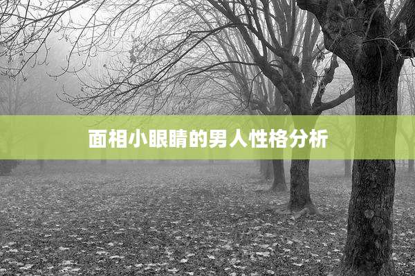 面相小眼睛的男人性格分析