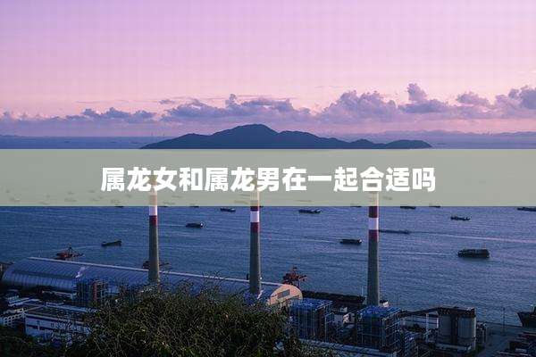 属龙女和属龙男在一起合适吗