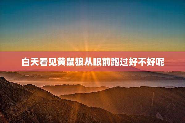 白天看见黄鼠狼从眼前跑过好不好呢