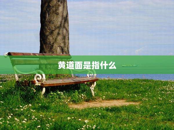 黄道面是指什么