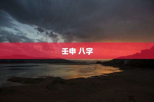 壬申 八字