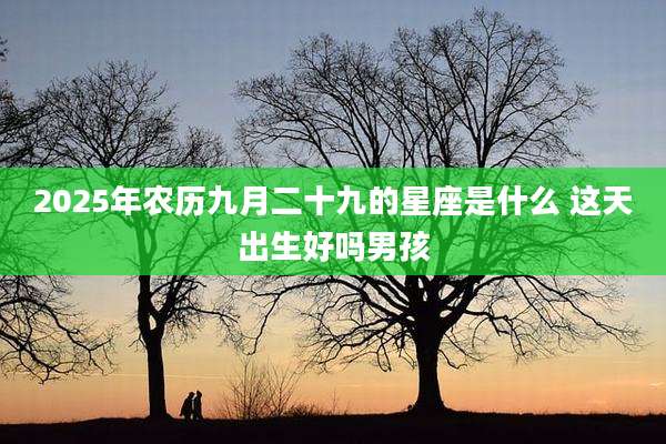 2025年农历九月二十九的星座是什么 这天出生好吗男孩