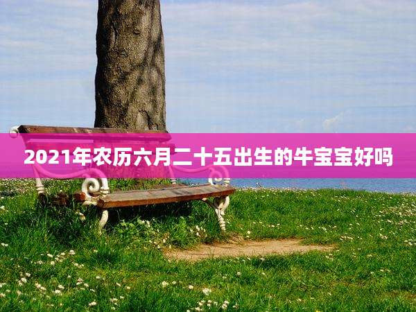 2021年农历六月二十五出生的牛宝宝好吗