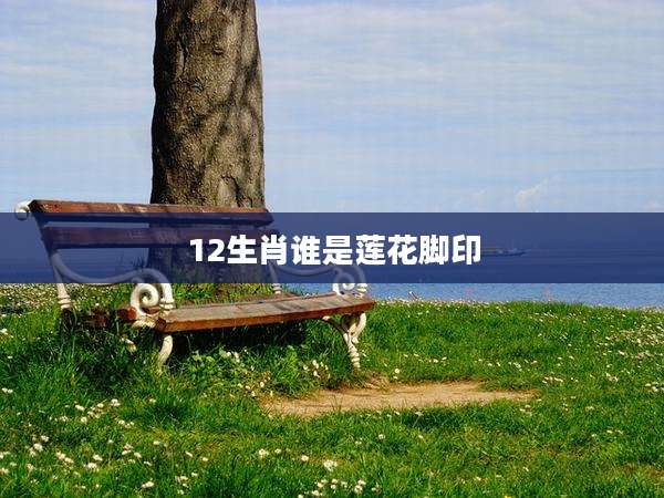 12生肖谁是莲花脚印