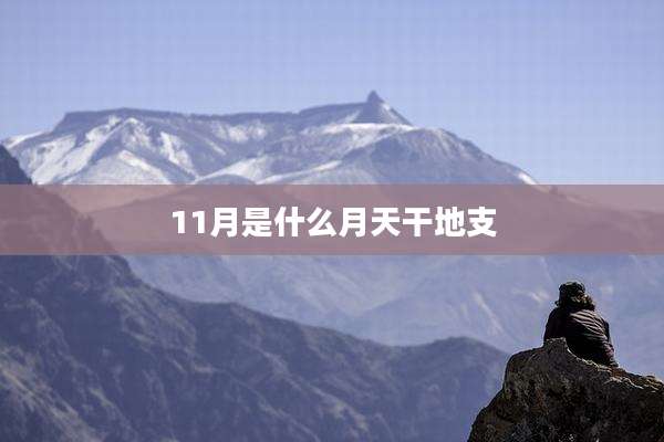 11月是什么月天干地支