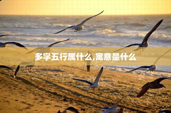 多字五行属什么,寓意是什么