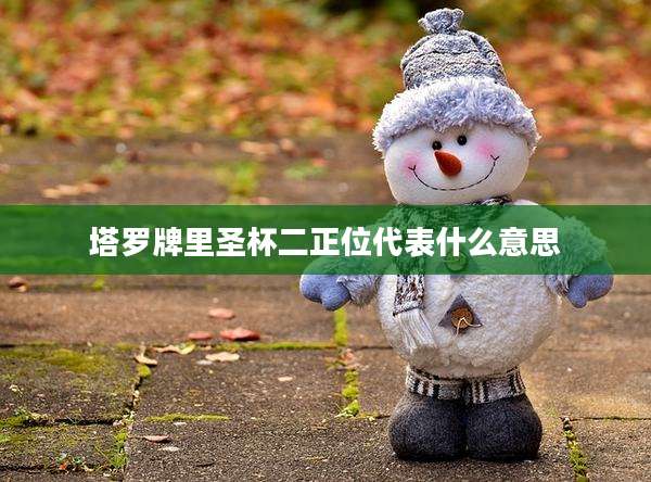 塔罗牌里圣杯二正位代表什么意思