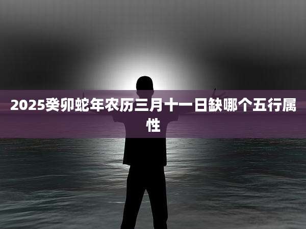 2025癸卯蛇年农历三月十一日缺哪个五行属性