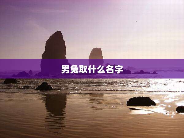 男兔取什么名字