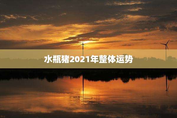 水瓶猪2021年整体运势