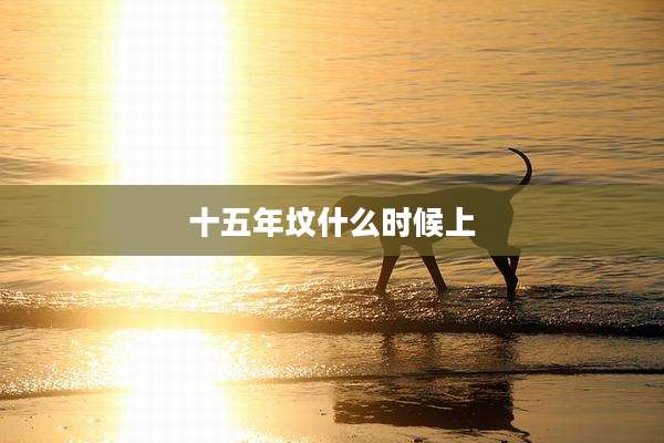 十五年坟什么时候上
