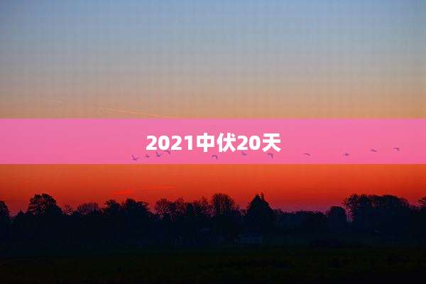 2021中伏20天