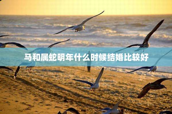 马和属蛇明年什么时候结婚比较好
