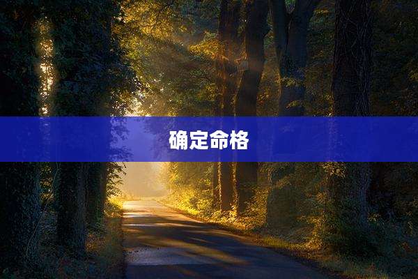 确定命格