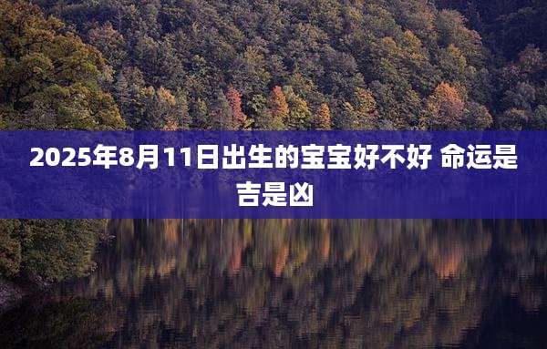 2025年8月11日出生的宝宝好不好 命运是吉是凶