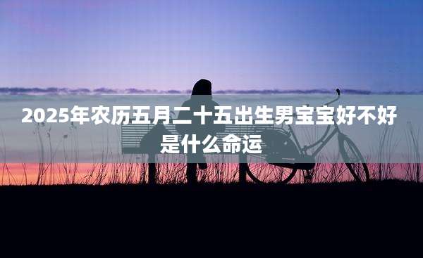 2025年农历五月二十五出生男宝宝好不好 是什么命运
