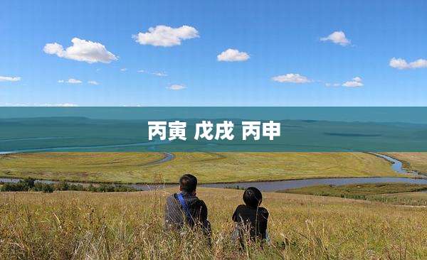 丙寅 戊戌 丙申