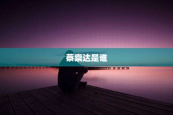 蔡崇达是谁