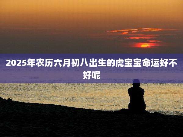2025年农历六月初八出生的虎宝宝命运好不好呢