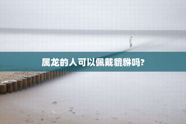 属龙的人可以佩戴貔貅吗?