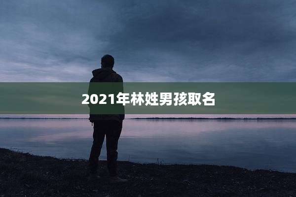 2021年林姓男孩取名