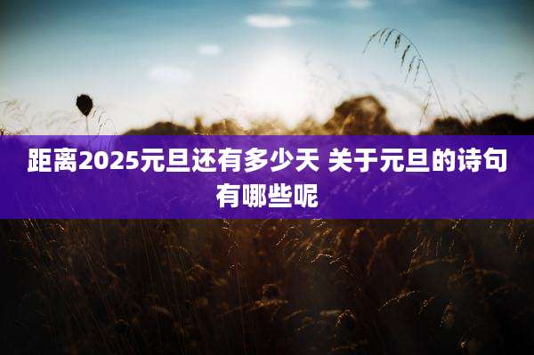 距离2025元旦还有多少天 关于元旦的诗句有哪些呢