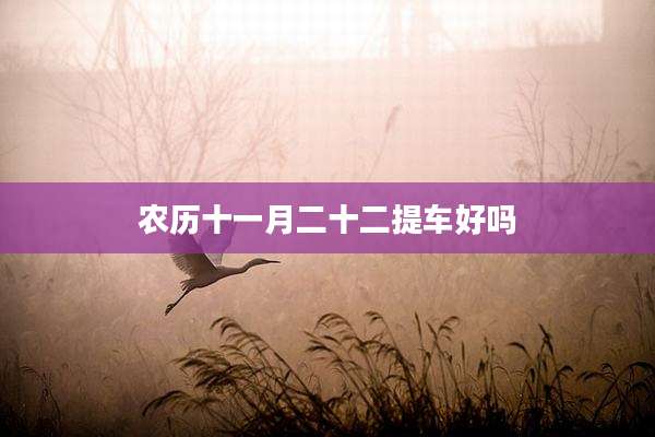 农历十一月二十二提车好吗