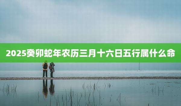 2025癸卯蛇年农历三月十六日五行属什么命