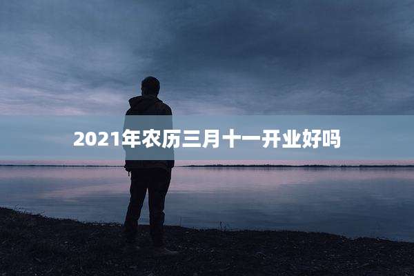 2021年农历三月十一开业好吗