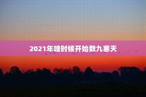 2021年啥时候开始数九寒天