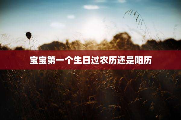 宝宝第一个生日过农历还是阳历