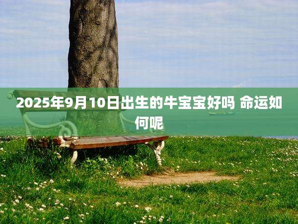 2025年9月10日出生的牛宝宝好吗 命运如何呢